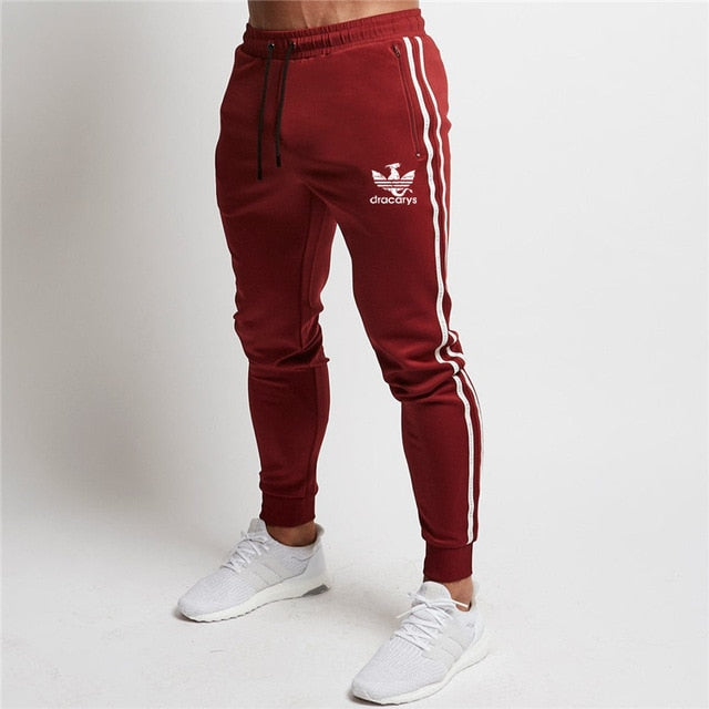 2019 New fashion Print Men Sport Set Spring Tracksuit long Sleeve Hoodie Sweatshirt GYM Fitness Pants Workout Running Suit