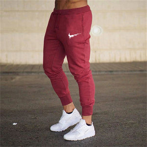 New Spring Autumn Brand Gyms Men Joggers Sweatpants Men's Joggers Trousers Sporting Clothing The High Quality Bodybuilding Pants