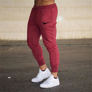 New Spring Autumn Brand Gyms Men Joggers Sweatpants Men's Joggers Trousers Sporting Clothing The High Quality Bodybuilding Pants